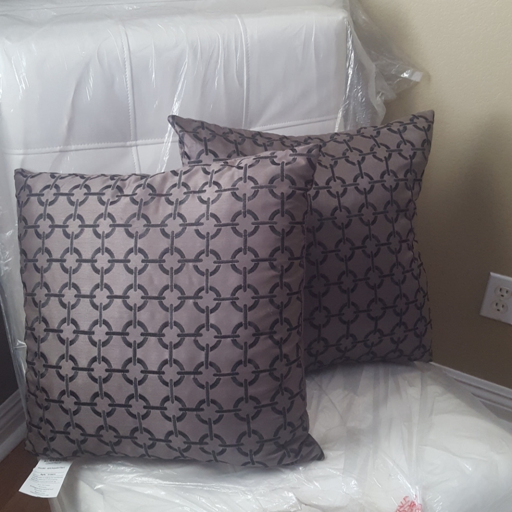 2 Decor/ Accent  Pillows